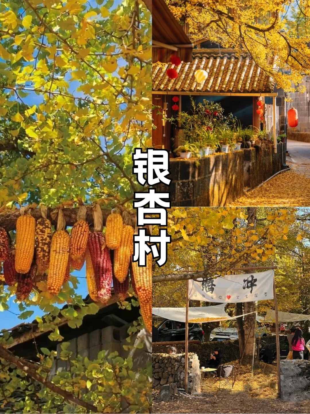 🩵泡着温泉赏秋色，腾冲的秋天太会玩🍁_2_旅行中的点点萤火_云南-来自52tours 我爱旅游网